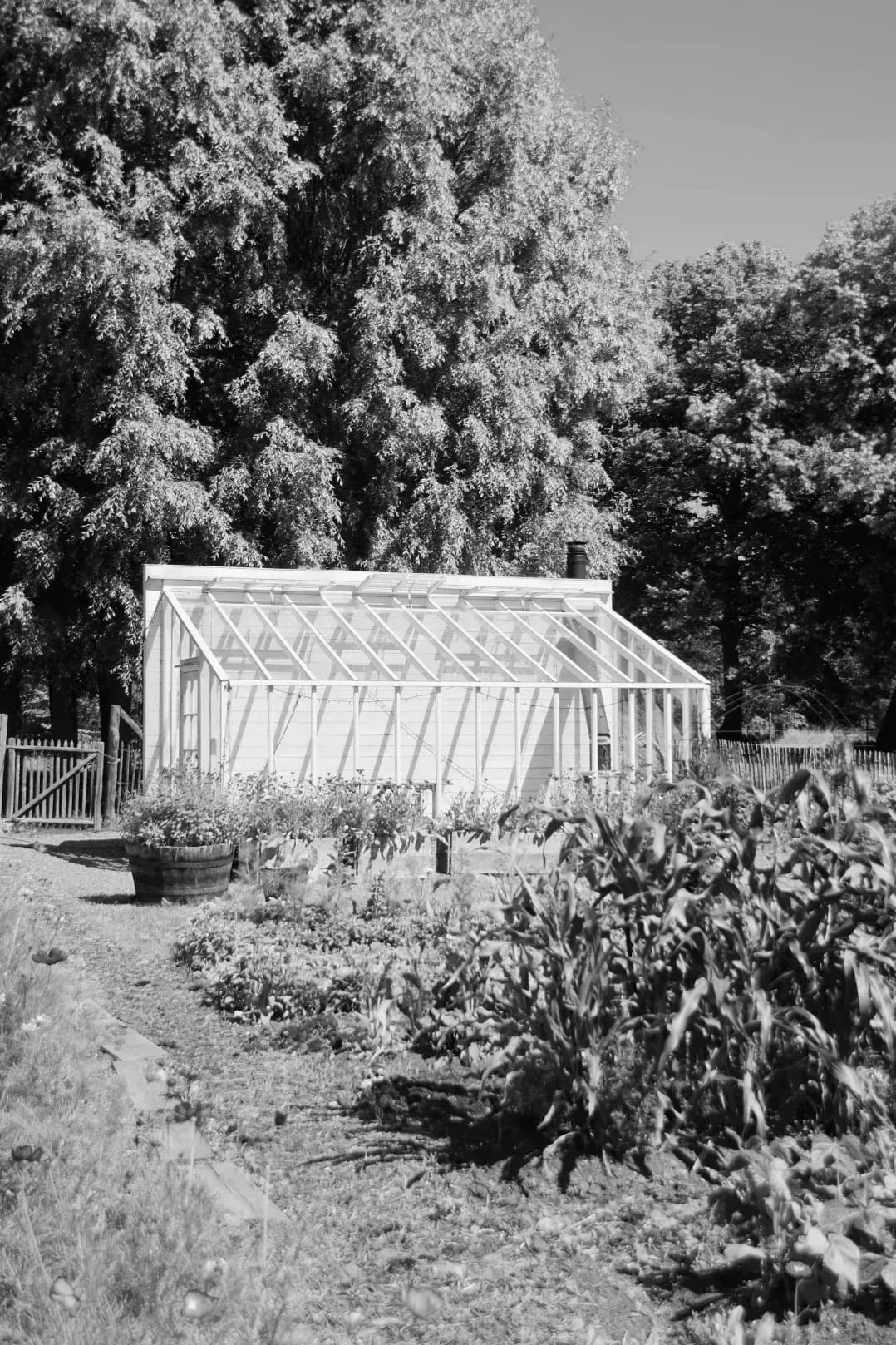 Evergreen Glasshouse