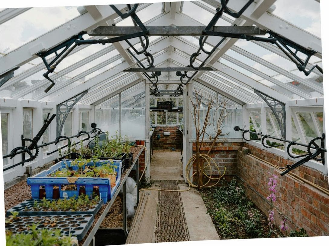 Choosing the Right Greenhouse for Year-Round Growing