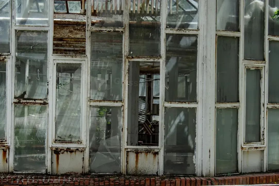Evergreen Glasshouse 2