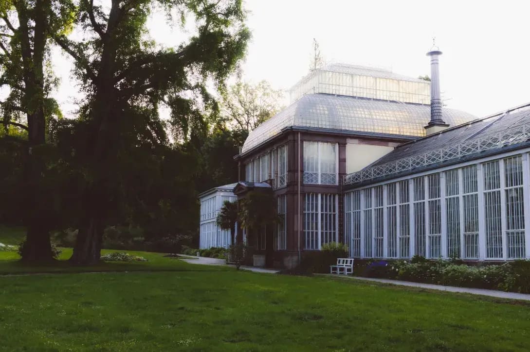 Evergreen Glasshouse 6